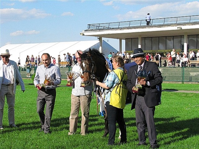 image_229.jpg