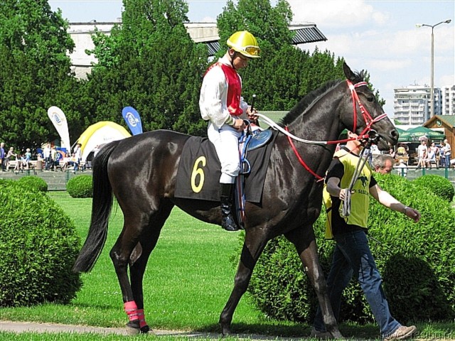 image_25.jpg