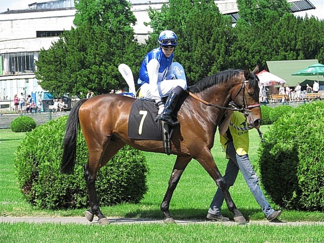 image_26.jpg