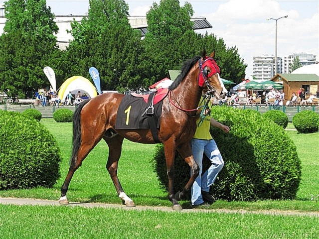 image_3.jpg