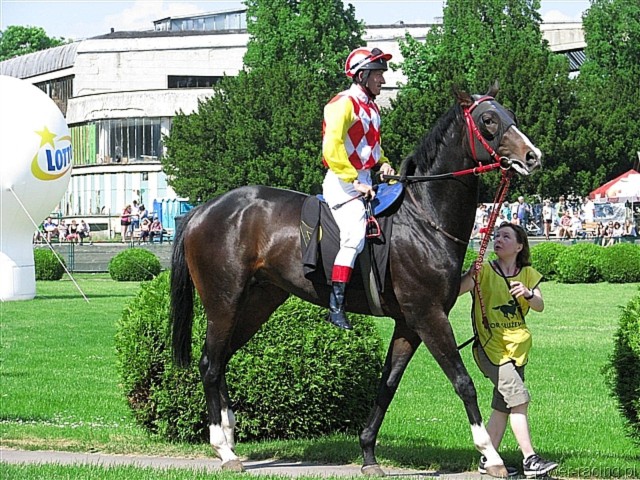 image_32.jpg
