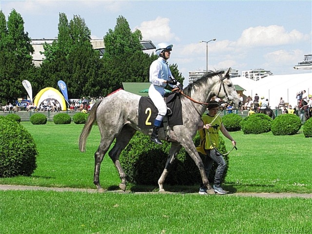 image_34.jpg