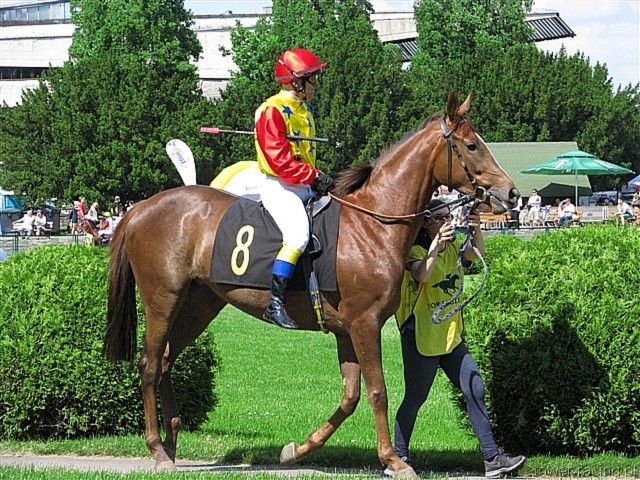 image_36.jpg