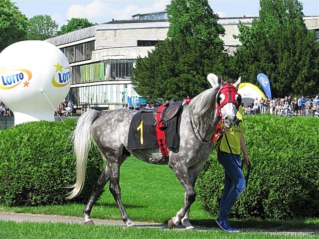 image_41.jpg