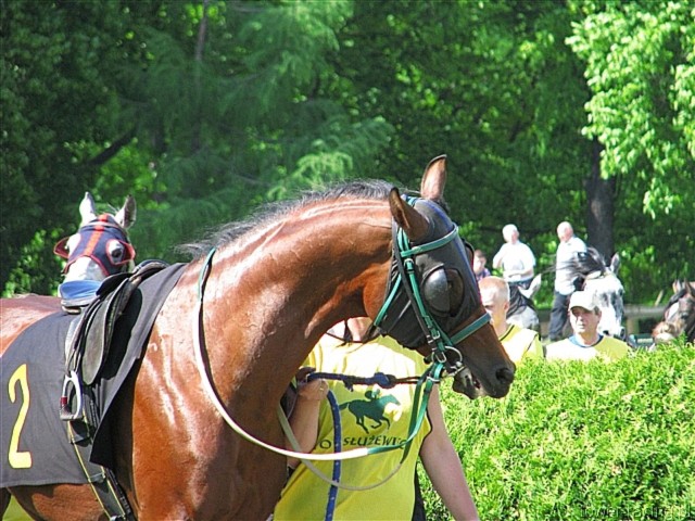 image_42.jpg