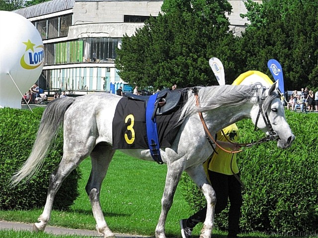 image_44.jpg