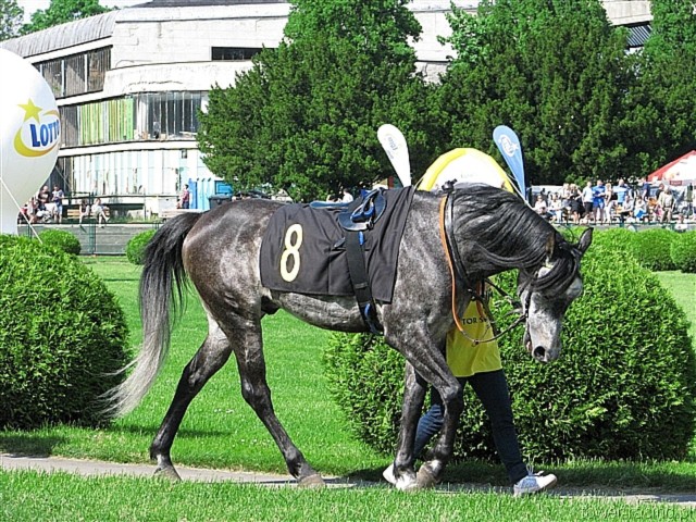image_48.jpg