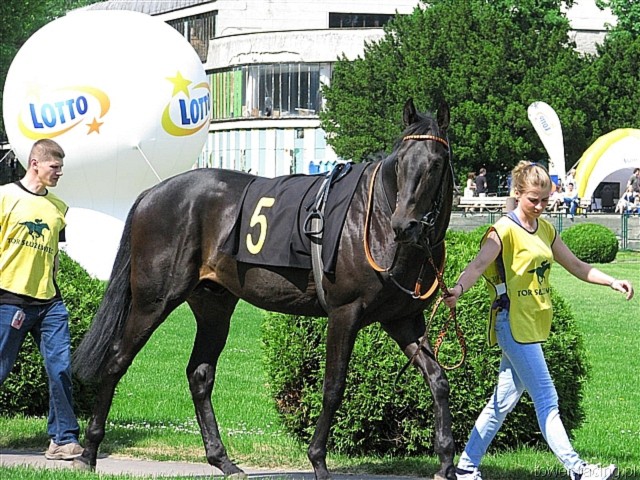 image_5.jpg