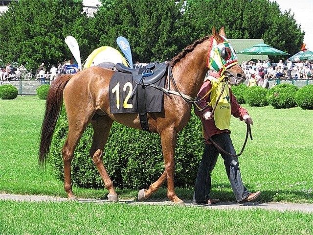 image_53.jpg