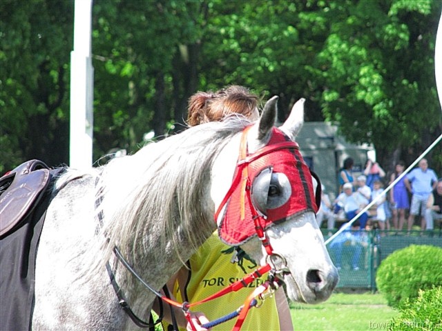 image_55.jpg