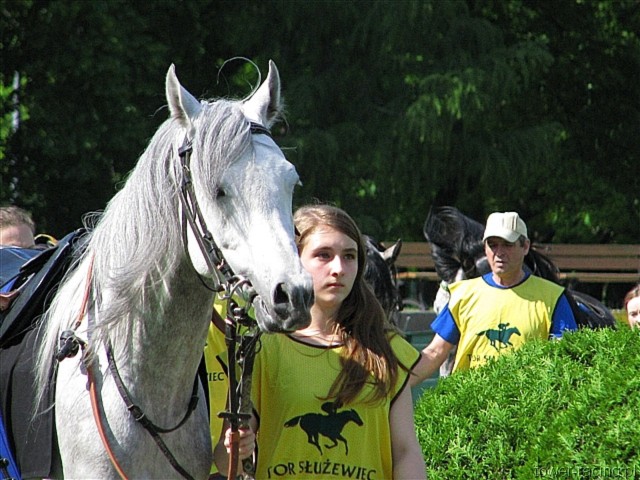 image_56.jpg