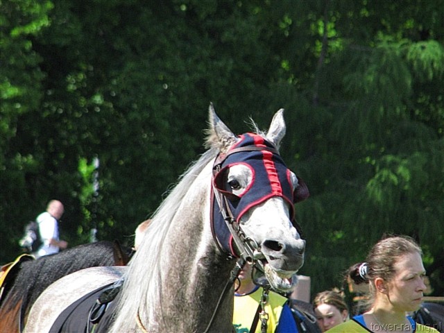 image_57.jpg
