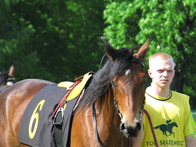 image_58.jpg