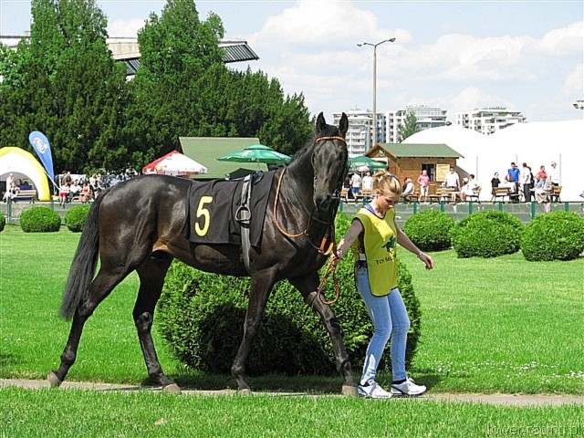 image_6.jpg