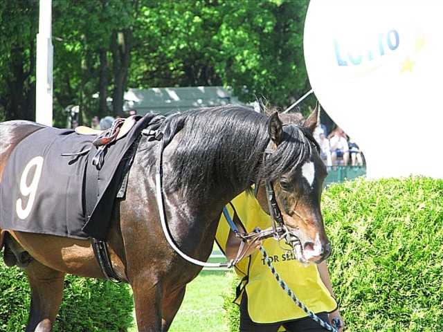 image_62.jpg