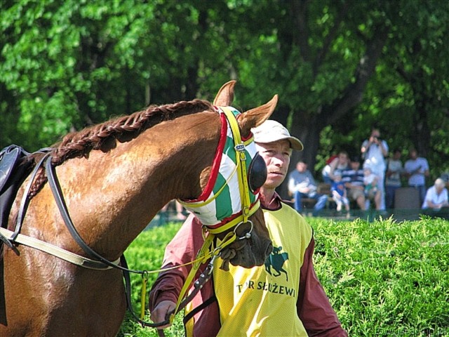 image_65.jpg
