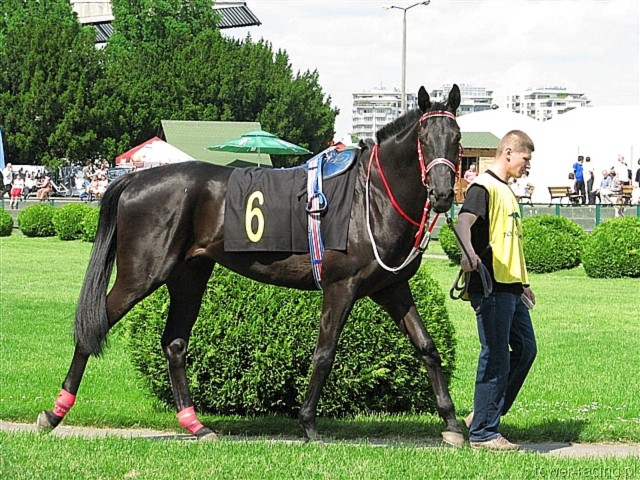 image_7.jpg