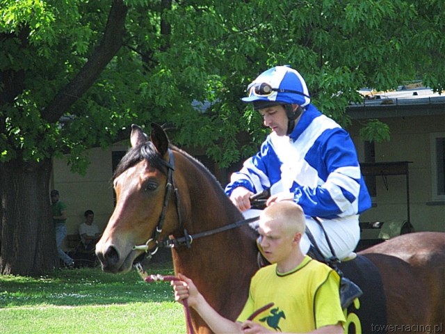 image_74.jpg