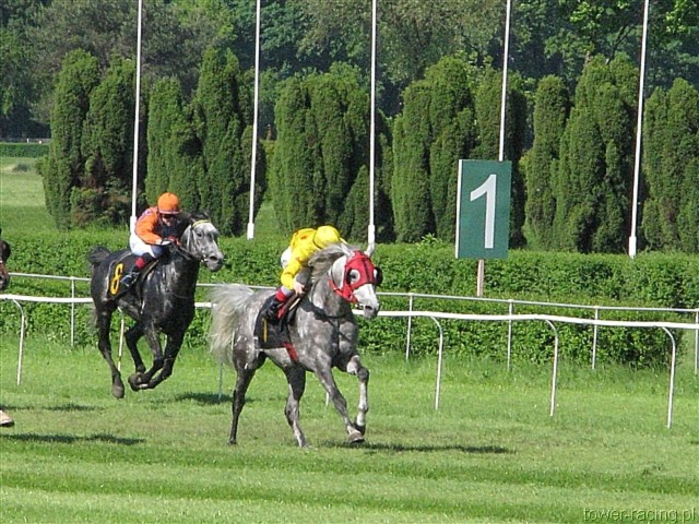 image_83.jpg