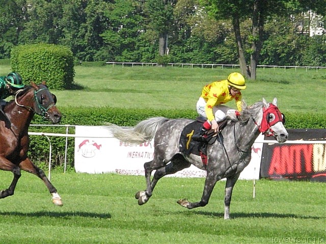 image_84.jpg