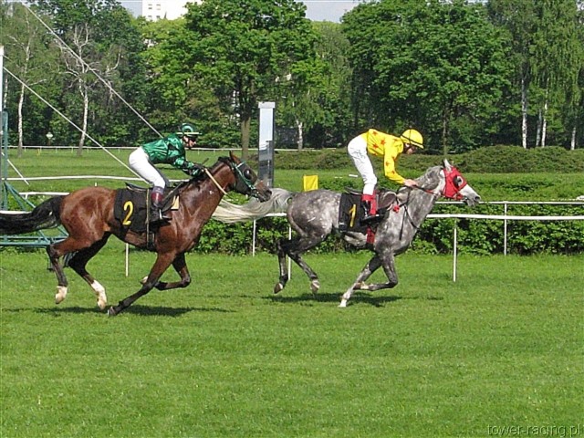 image_85.jpg