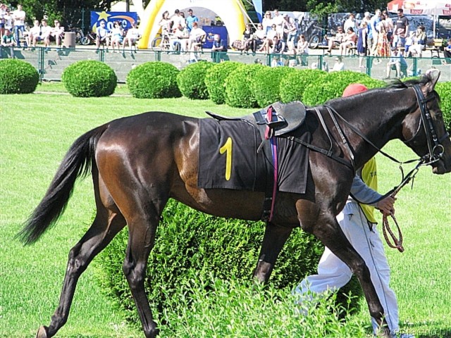 image_86.jpg
