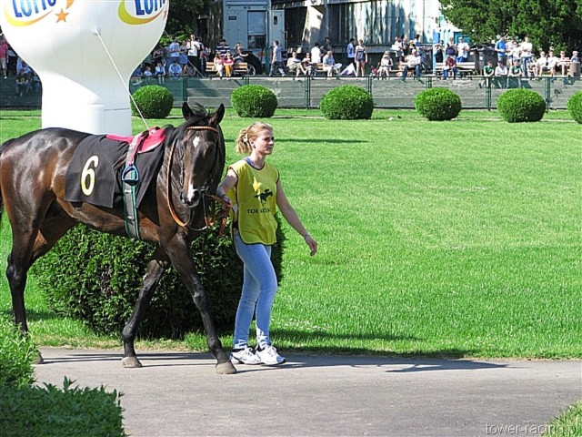 image_87.jpg