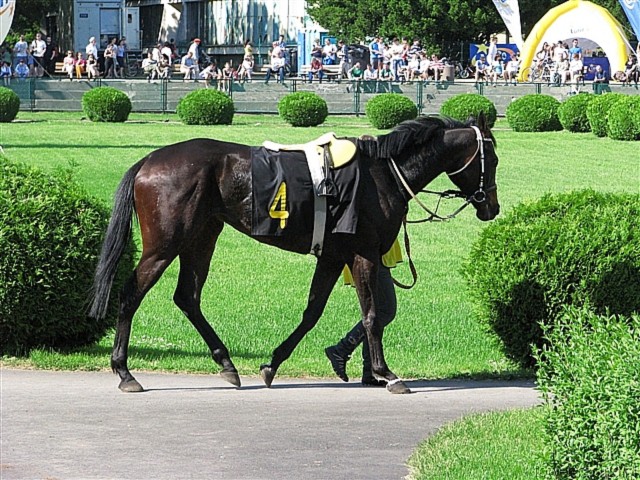 image_90.jpg