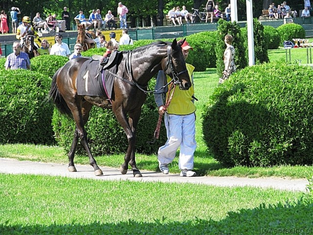 image_96.jpg