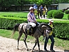 image_73.jpg