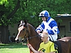 image_74.jpg