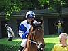 image_75.jpg