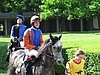 image_76.jpg