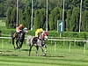image_83.jpg