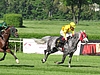 image_84.jpg