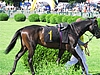 image_86.jpg