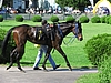 image_88.jpg