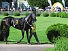 image_89.jpg