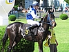 image_95.jpg