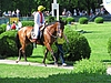 image_99.jpg