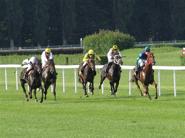 image_104.jpg