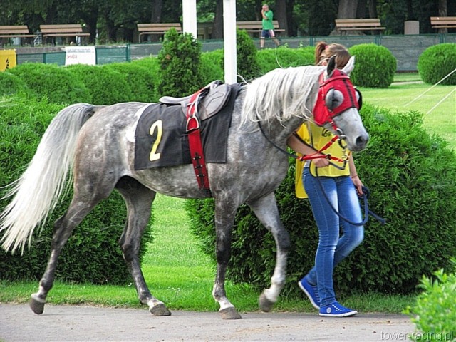 image_106.jpg