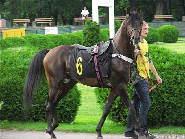 image_109.jpg