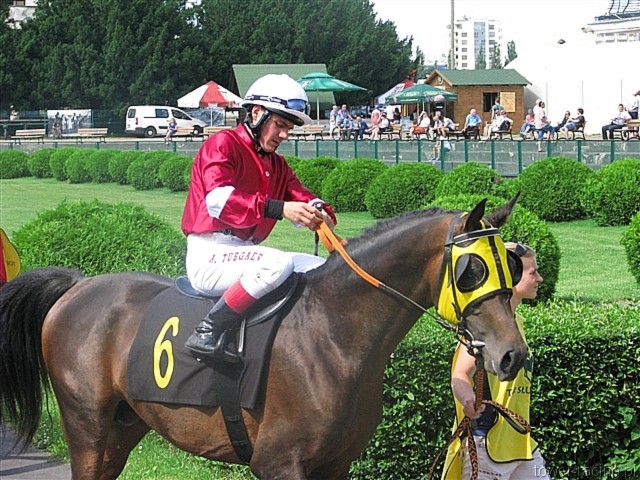 image_11.jpg