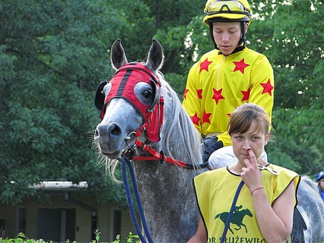 image_116.jpg