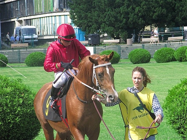 image_14.jpg