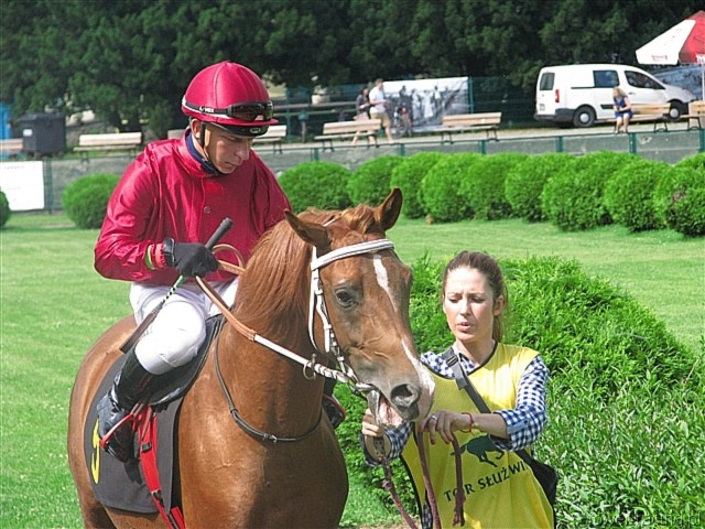 image_15.jpg