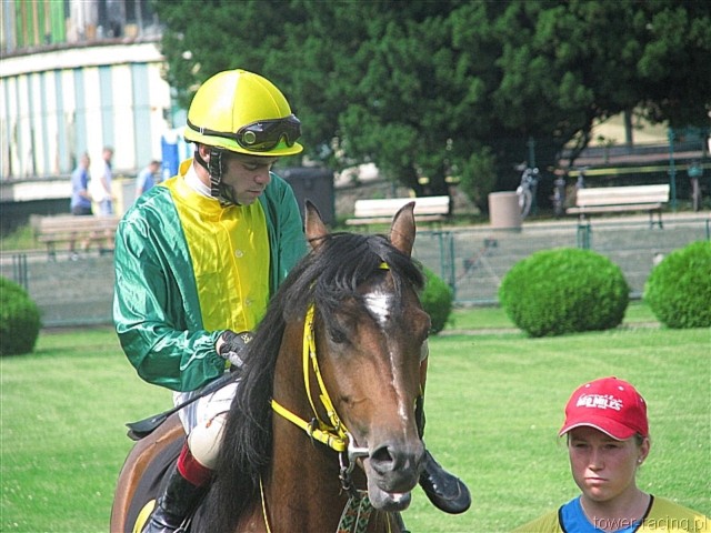 image_16.jpg