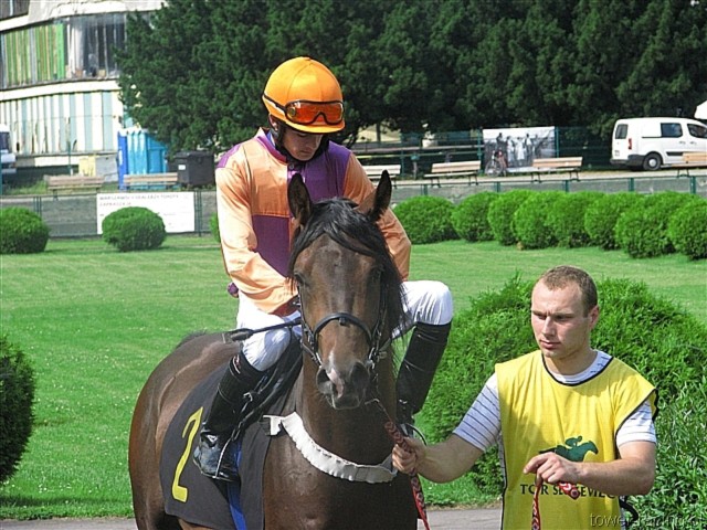 image_17.jpg