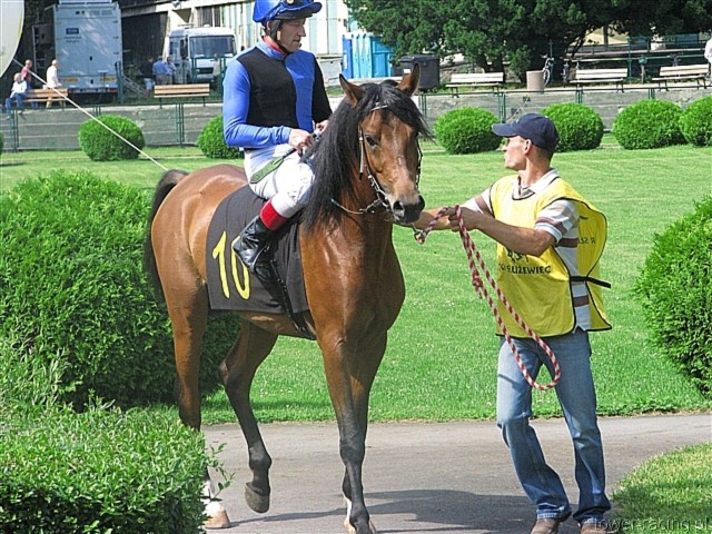 image_18.jpg
